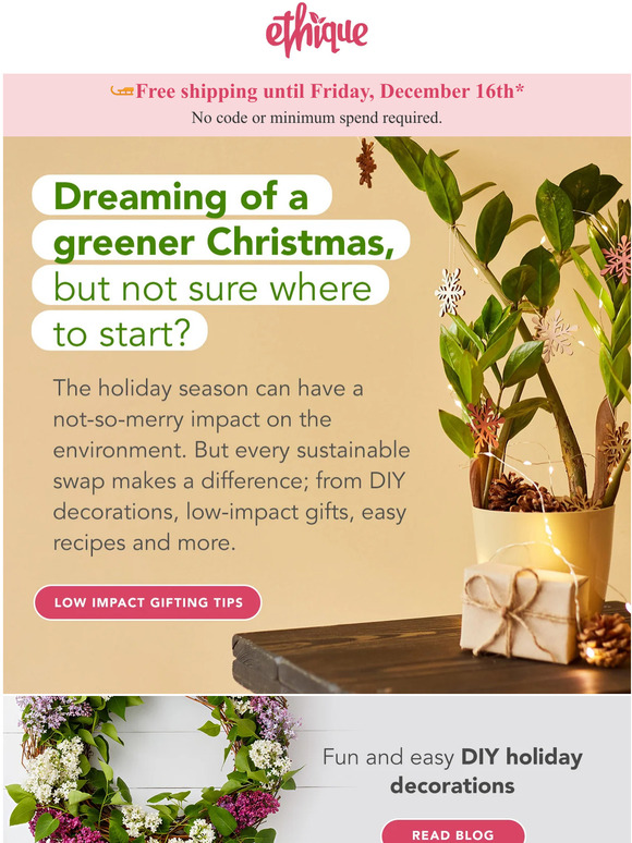 Ethique 🎄How to have a greener Christmas 🎄 Milled