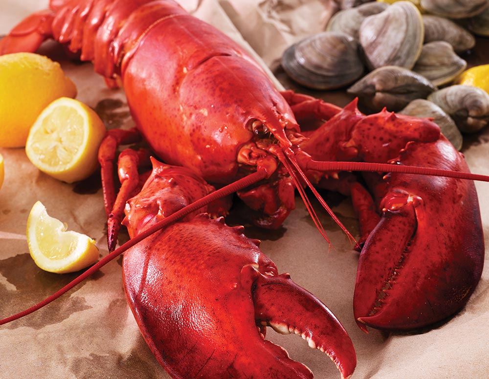Live & Cooked Lobster >