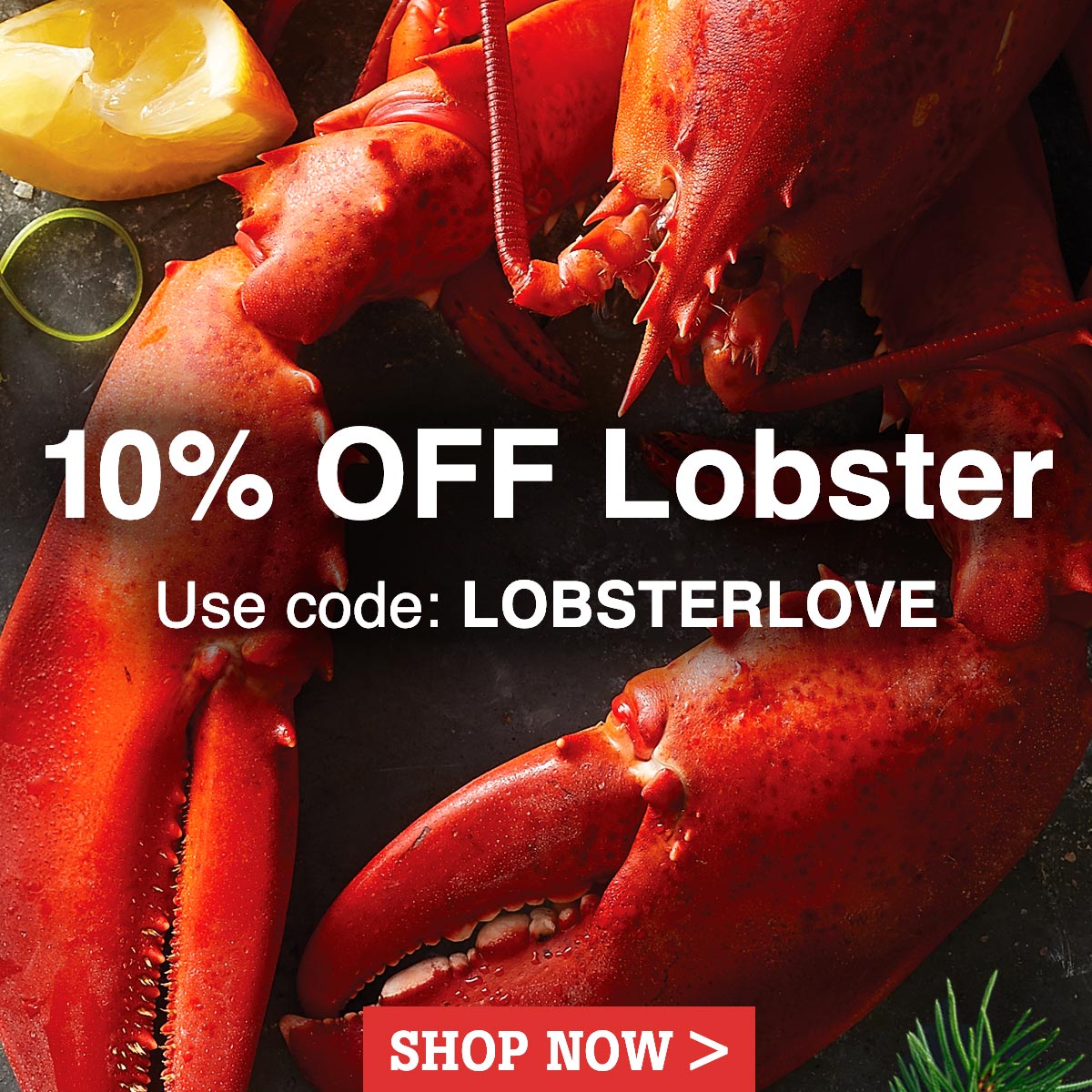 10% OFF Lobster. Use code LOBSTERLOVE