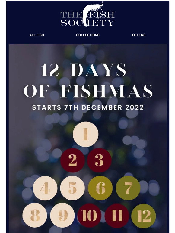The Fish Society Introducing Our 12 Days Of Fishmas OFFERS 🎁 Milled