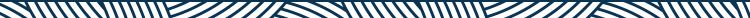 Pattern Strip