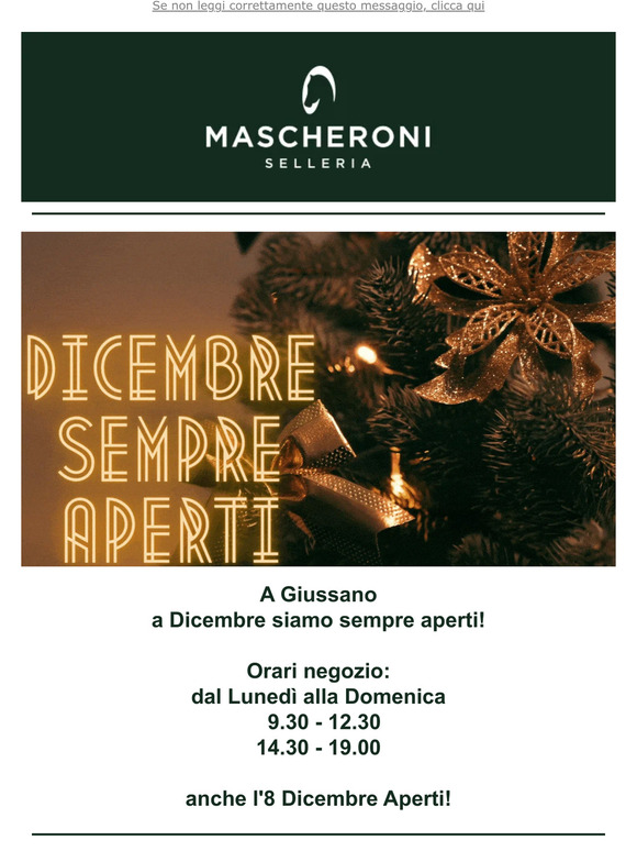 MASCHERONI: NUOVI CASSONI Mascheroni Selleria