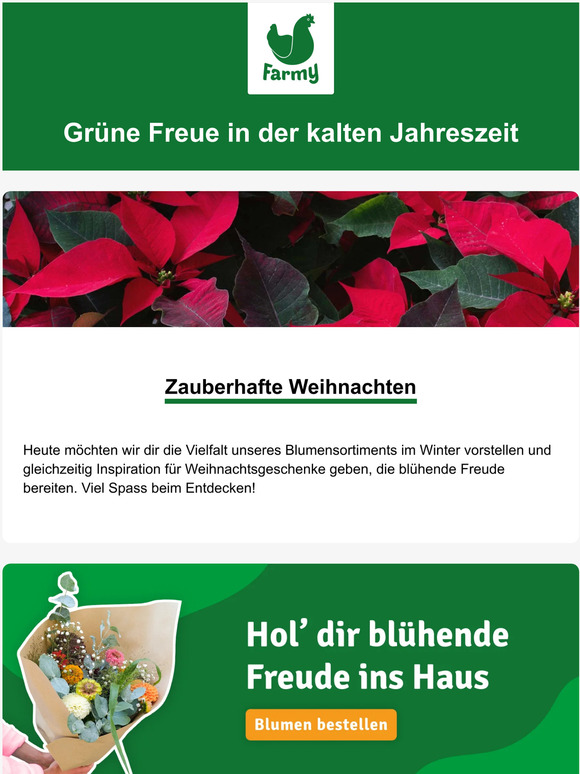 Dein weihnachtlicher Blumen-Geschenke-Guide🎄