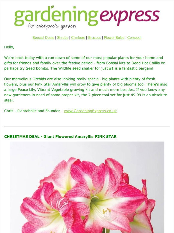 Gardening Express Just £1 Wildlife Seed Shaker, Orchids, Kalanchoe