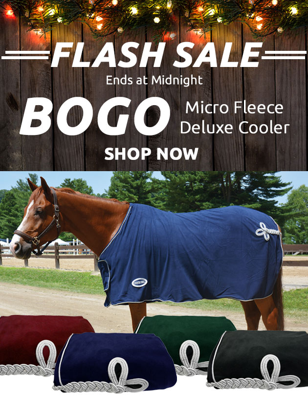 Big Dee's Tack & Vet Supplies Midnight BOGO Deal 🏆 Deluxe Coolers Buy