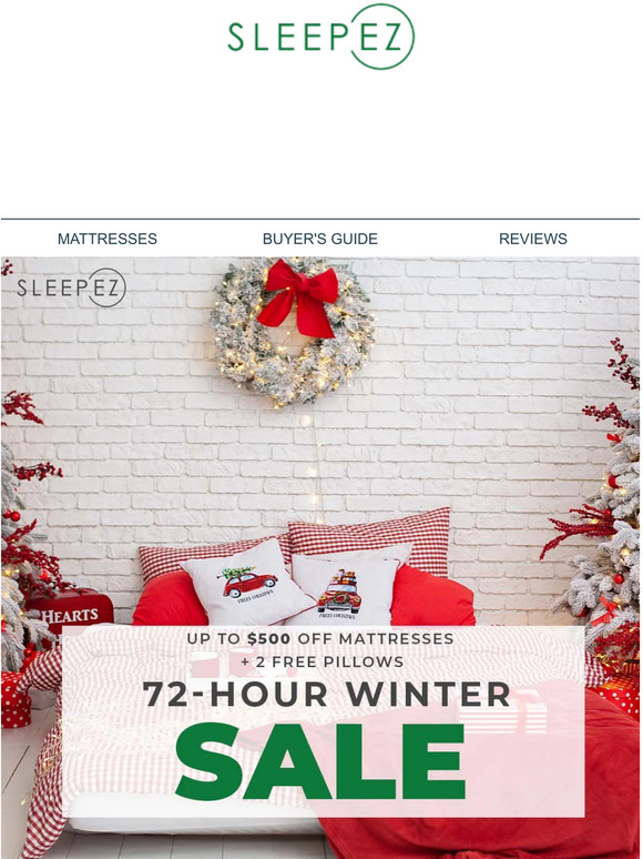 Receive your order before Christmas when you order NOW!