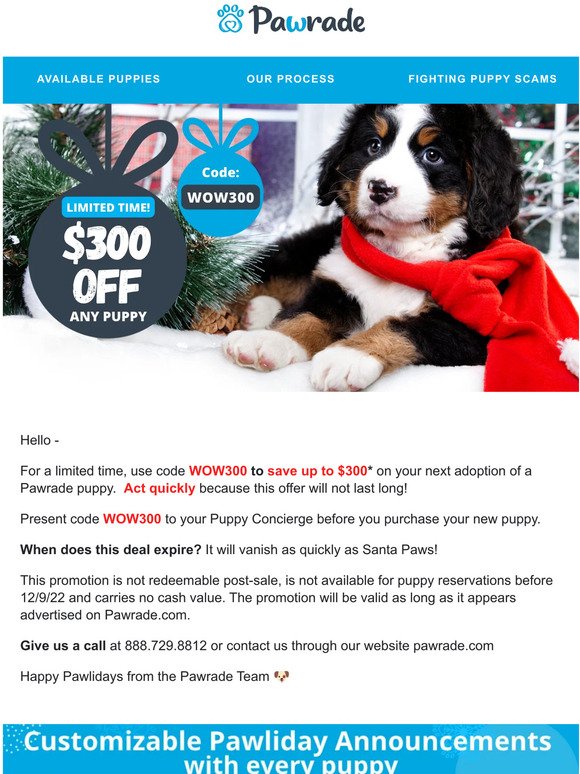 LIMITED TIME: Use code WOW300 to SAVE $300 on any puppy 🐶