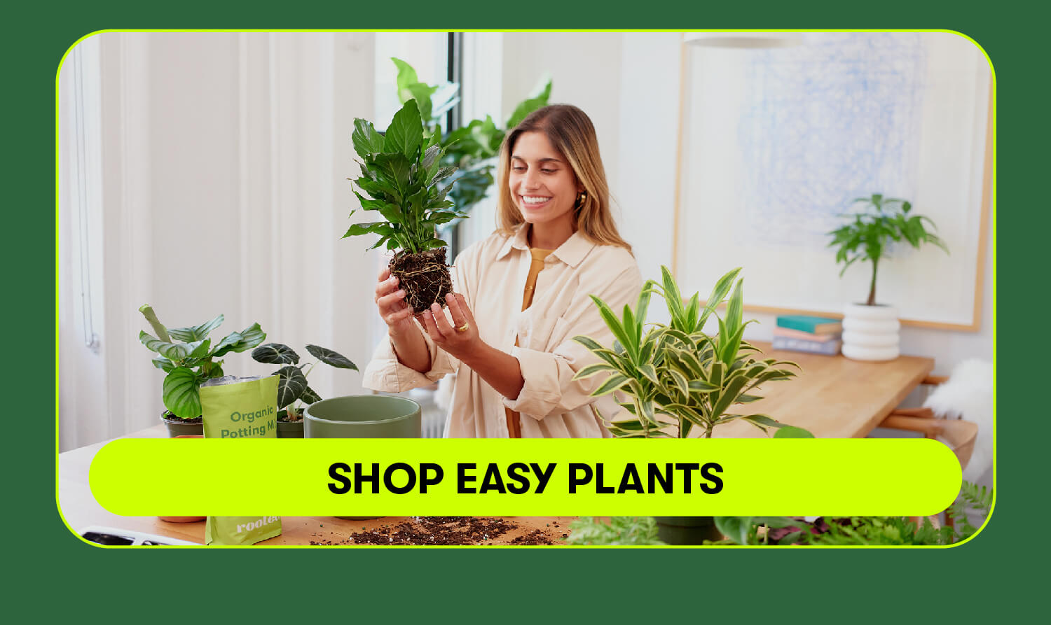 Shop easy plants
