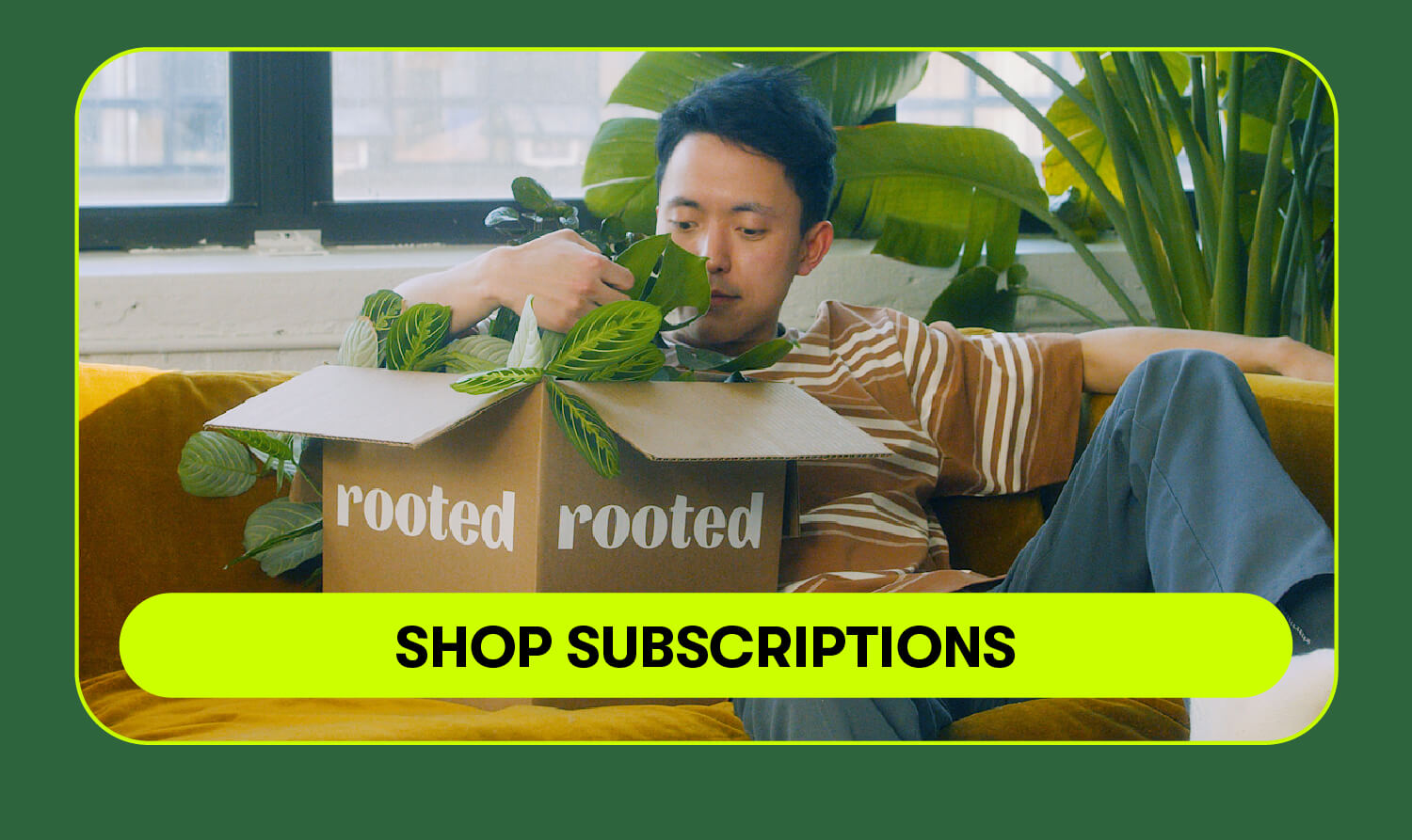 Shop Subscriptions