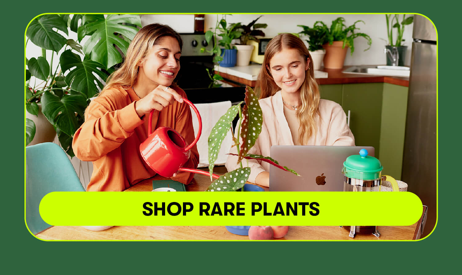 Shop rare plants.
