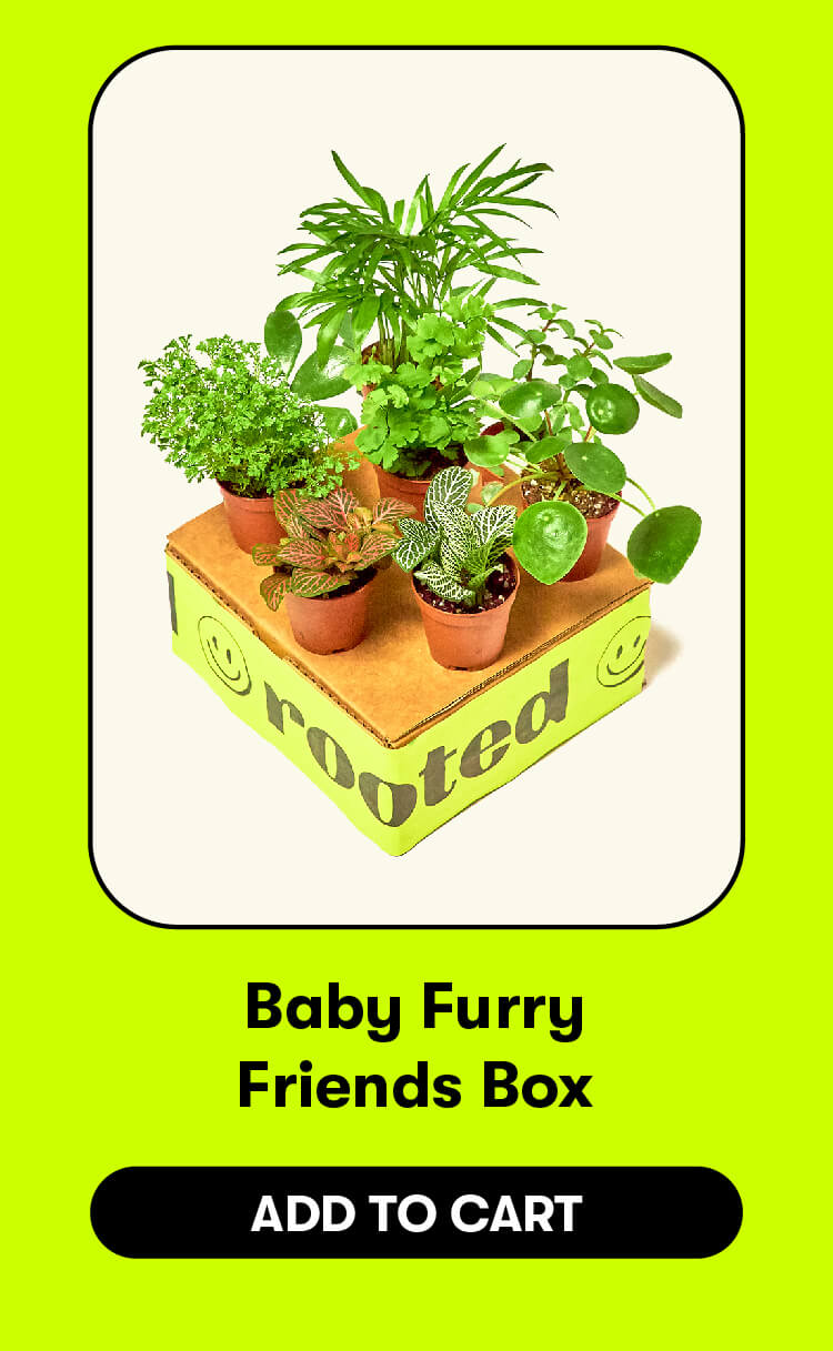 Baby Furry Friends Box. Add to cart.
