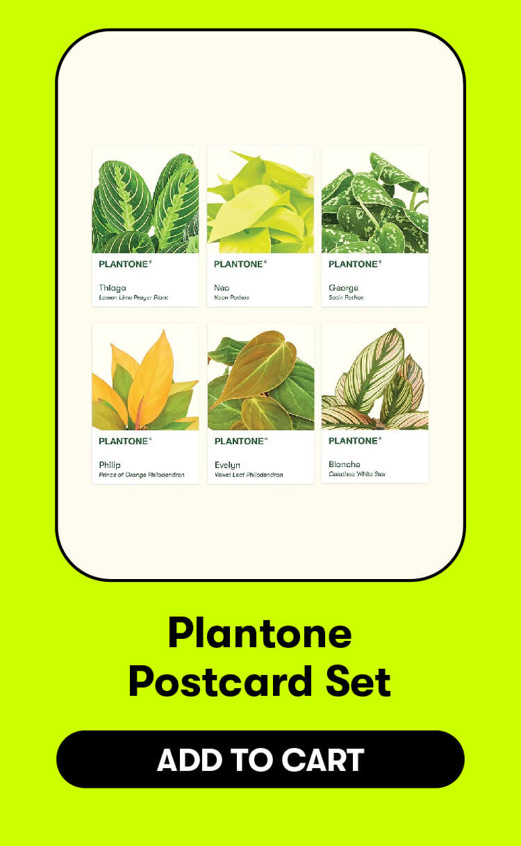 Plantone Postcard Set. Add to cart.
