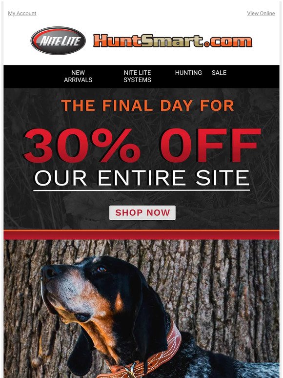 This is it... final hours for 30% off