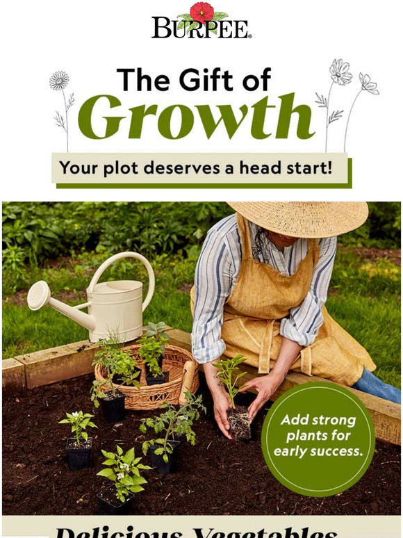 Burpee Gardening Plants are the gift to give your garden! Milled