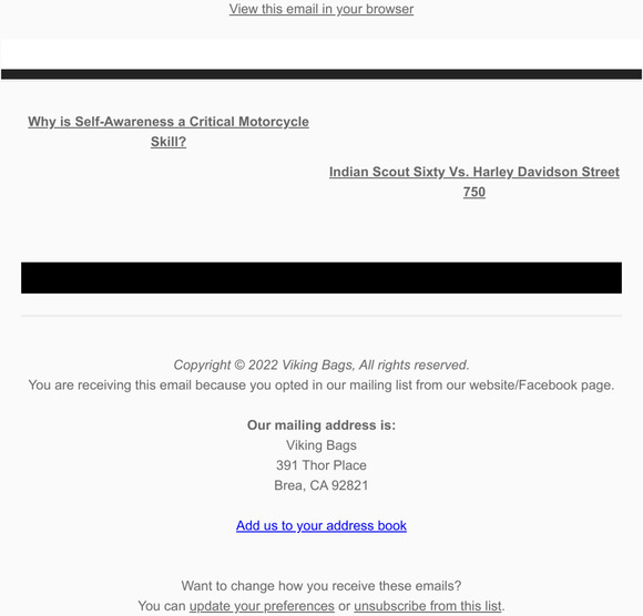 Viking Bags FLASH SALE // Get 40 Off On Revival Series Sissy Bar Bag