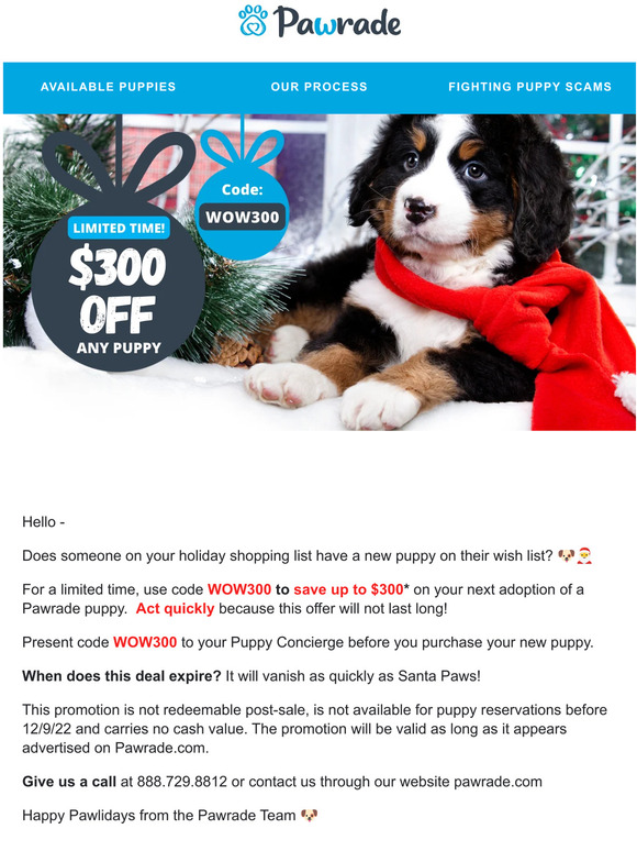 LIMITED TIME OFFER: Use code WOW300 to SAVE $300 on your dream puppy 🐶