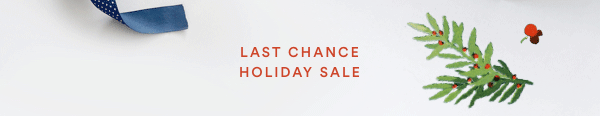 Last Chance Holiday Sale