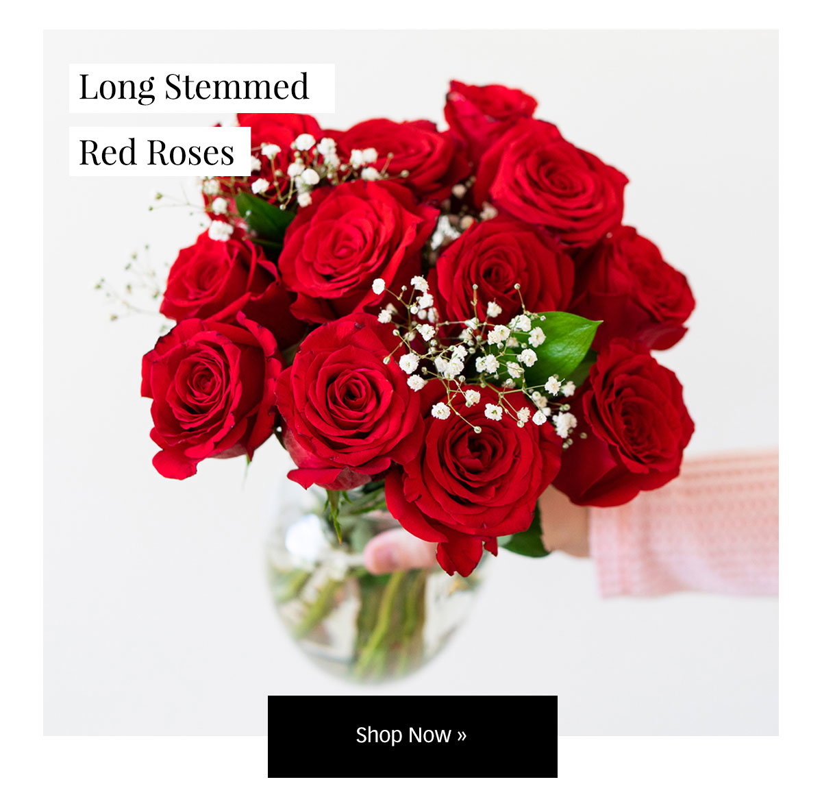 Save The Roses From You Flowers: Save Up to 50% on Seasonal Roses! | Milled