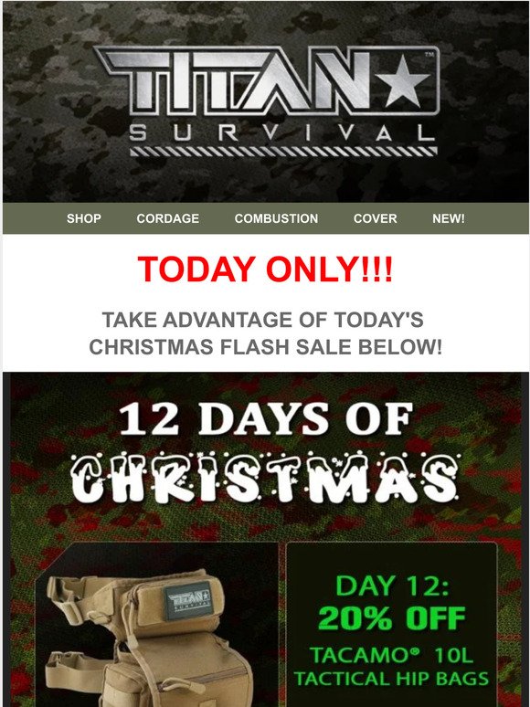 💰 THE 12 DAYS OF CHRISTMAS - DAY #12 - 20% OFF FLASH SALE!