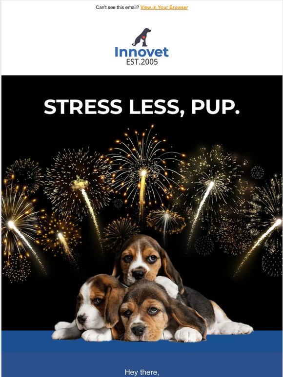 Keeping Your Dog Calm This NYE.