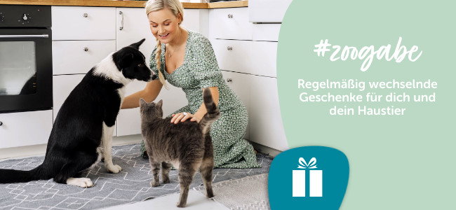 Regelmäßig wechselnde Graitsbeigaben