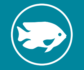 Aquaristik