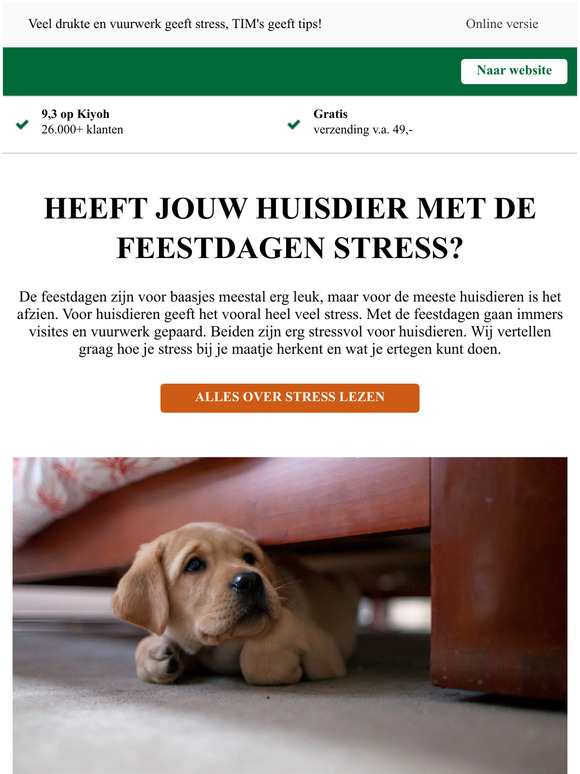 Heeft jouw huisdier met de feestdagen stress?