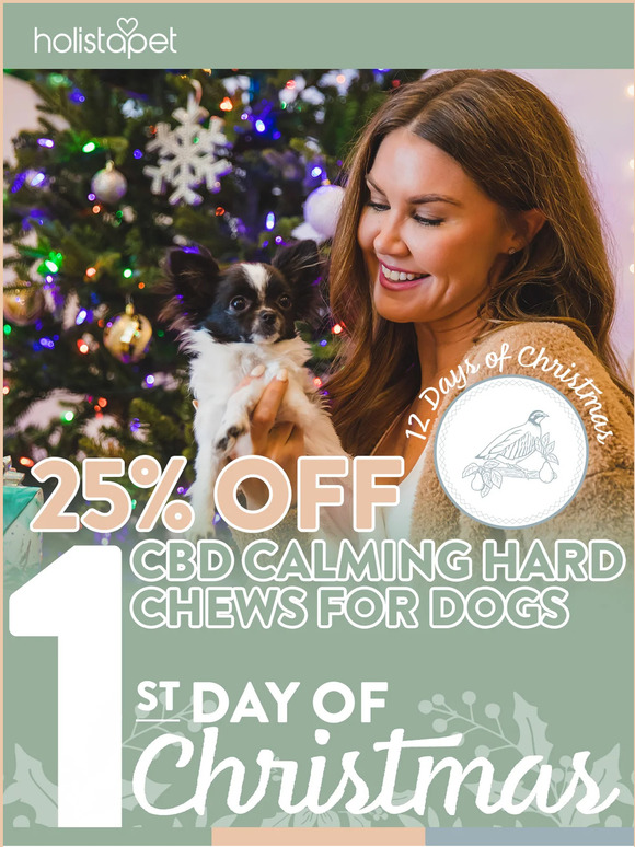 12 Days of Christmas starts NOW! 🎁