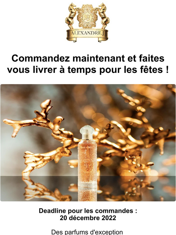 🎄🎁 Vite vite, dernières commandes ! 🎁🎄