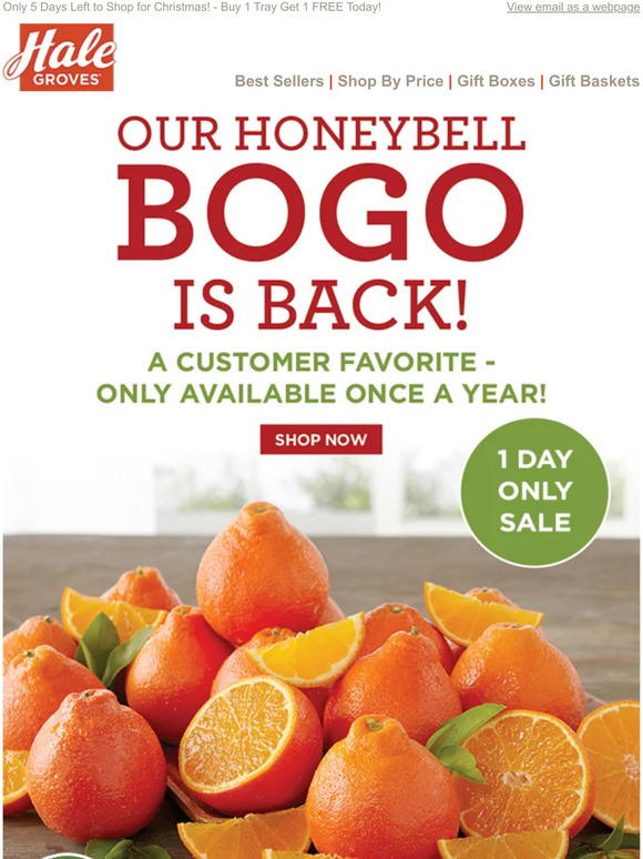 Hale Groves 🍊🍊 Our Honeybell BOGO is BACK Buy 1 Tray of Honeybells