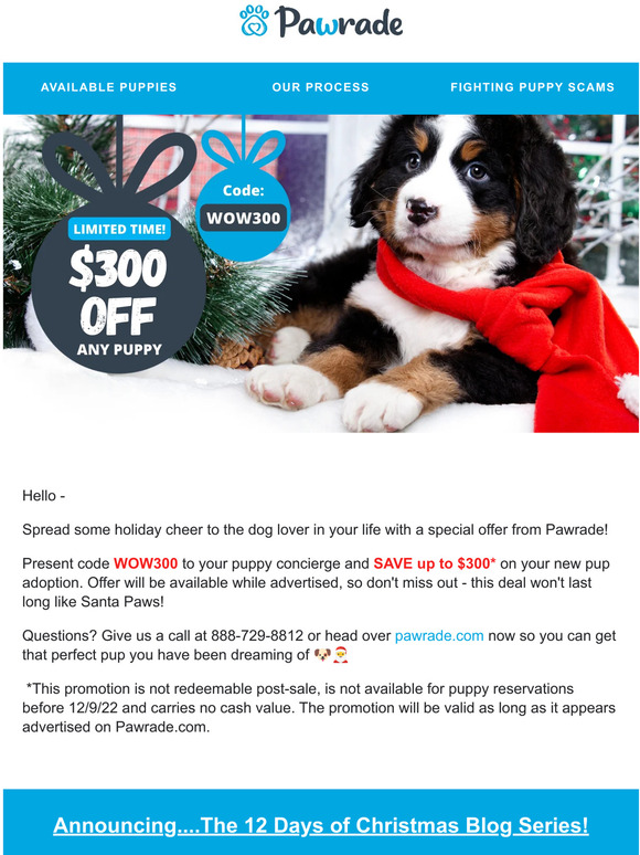 Get the PAWFECT Christmas Present 🎁