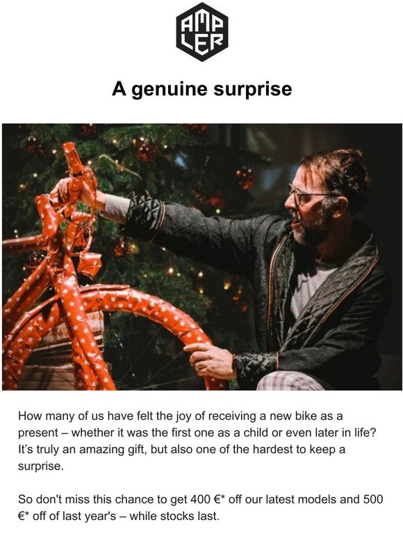 Can you surprise someone with a bike at Xmas?