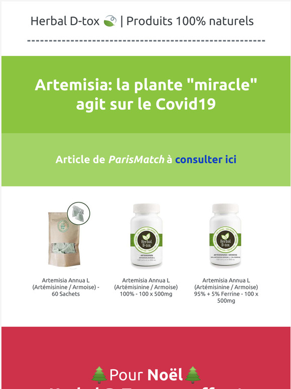 🌿 Artemisia: la plante "miracle" agit sur le Covid19- Article de ParisMatch