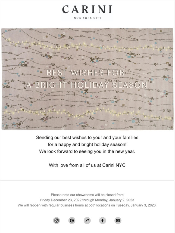 Happy Holidays from Carini! ❄