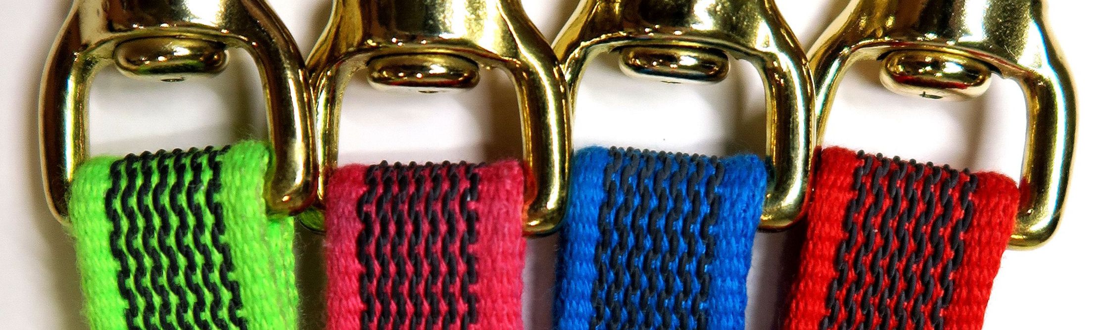 Close Up of Stronghold Leash Snaps