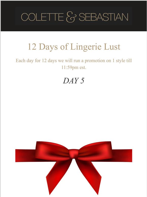 Day 5 of Lingerie Lust Promotion