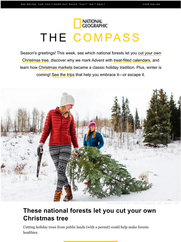 National Geographic The Compass National forest cutyourown