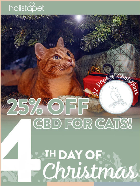 Today only: 25% Off All Cat CBD!