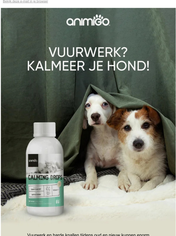 Bang van vuurwerk en harde knallen? Help je hond!