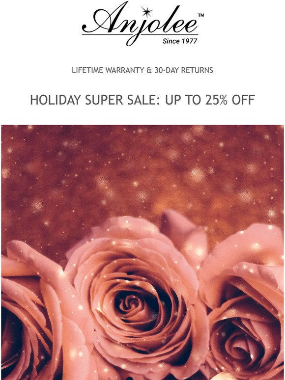 HOLIDAY SUPER SALE: UP TO 25% OFF