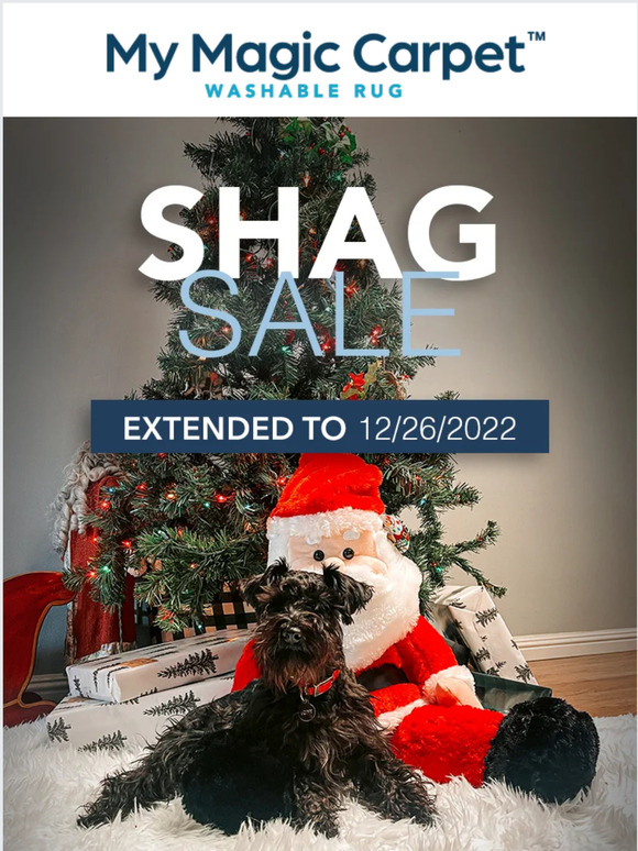 We've EXTENDED our shag rug sale!!!!!