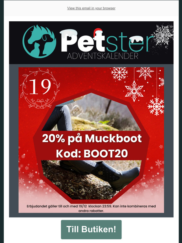 PETSTER ADVENTSKALENDER - LUCKA 19