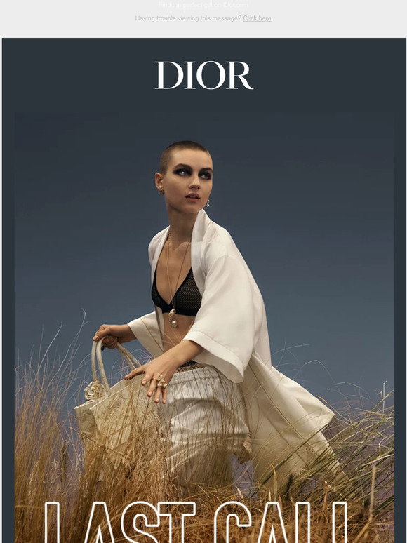 Dior 2023 Lunar New Year Collection • Cold Brew Vibes