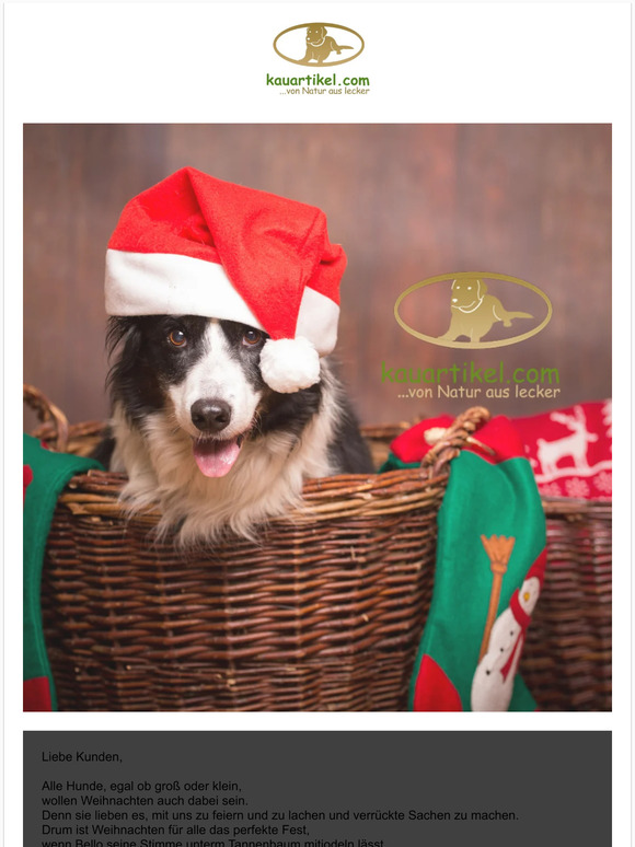 🌲 Frohe Weihnachten und alles Gute für das Jahr 2023 wünscht Euch www.kauartikel.com 🌲