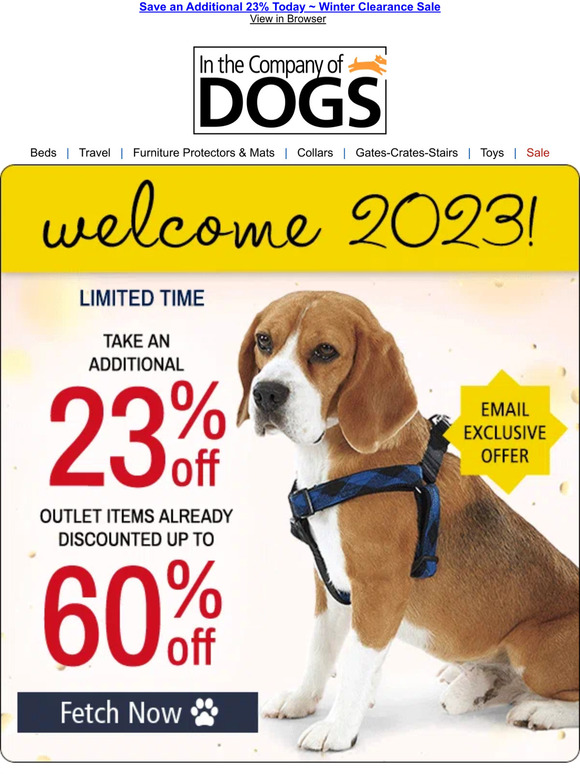 In The Company of Dogs Just in Time for 2023. Our EndofYear