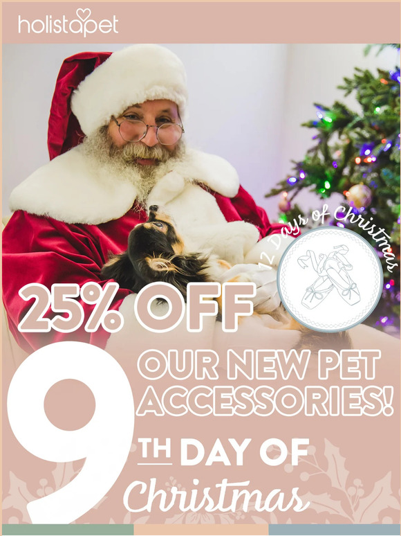 NEW Product Launch - Pet Accessories
