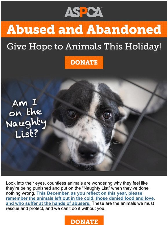 Please Help Today (Give to Abused Animals)
