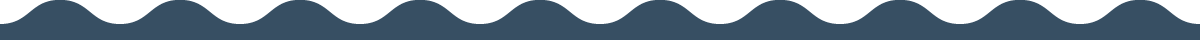 section divider