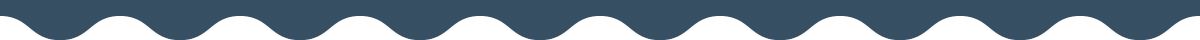 section divider