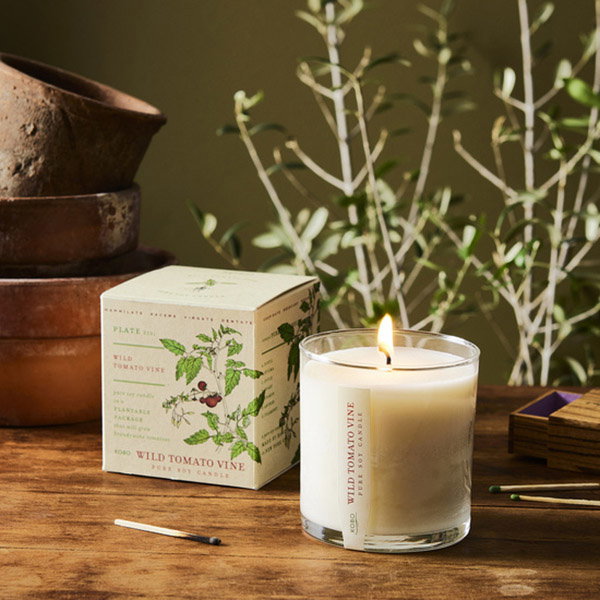 Plant the Box Scented Candles